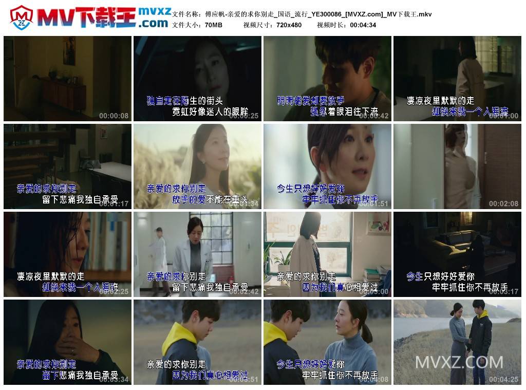 傅应帆-亲爱的求你别走_国语_流行_YE300086